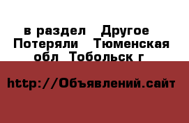  в раздел : Другое » Потеряли . Тюменская обл.,Тобольск г.